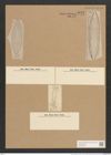 Surirella breuteliana Rabh. (de-Toni-Nr.: Genus 53, Species 2225) Zeichnungen Sammlung Grunow Nr. 4642 (NHMW-BOT-W0372699)